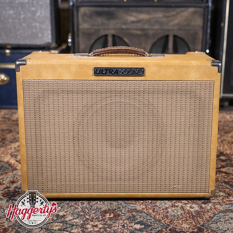 Ultrasound Pro100 PiezoOptimized Guitar Amplifier (USA Reverb