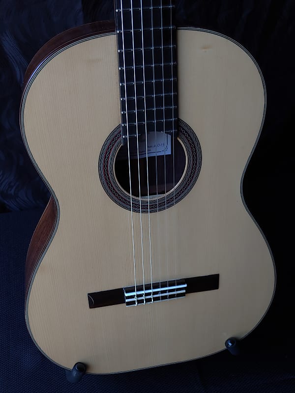 2019 Darren Hippner Torres Model Rosewood and Spruce Classical Guitar image 1