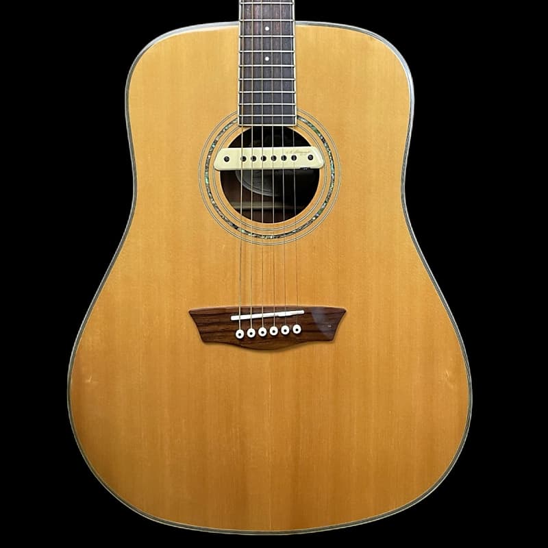 Washburn WCD18 Comfort Series Acoustic Guitar W/ L.R | Reverb Canada