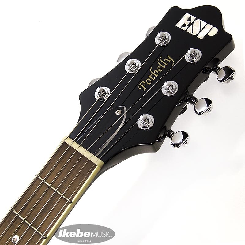 【激渋】ESP potbelly ESP Potbelly Review | Chorder.com