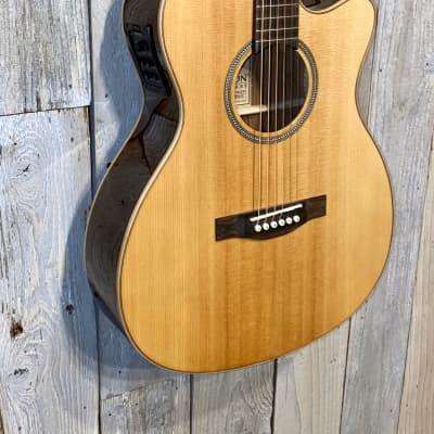 Teton STG100CENT Spruce Cutaway Guitar Acoustic/Electric EXTRAS Help Support Small Business , Thanks image 4