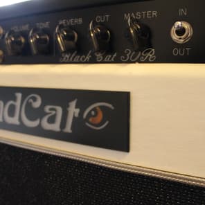 Bad Cat 