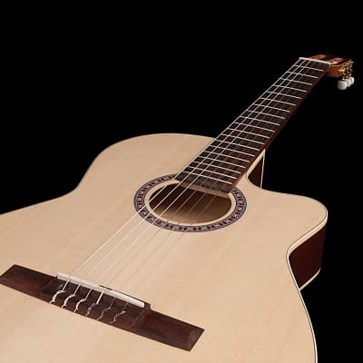 Godin 049585 / 051793 Arena CW QIT Thinline Nylon String Classical Guitar MADE In CANADA image 6