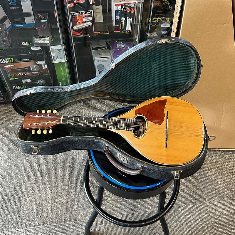 Vega Mandolin 19161919 w/Case 1917 1918 Reverb