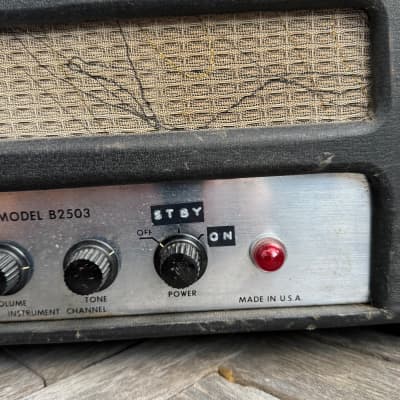 Hilgen B2503 Basso Grande 1964-65 Handwired 35 Watt Tube Amp image 5