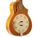 Gold Tone Dojo Banjo Slide Guitar with Resonator Five String, Vintage Mahogany