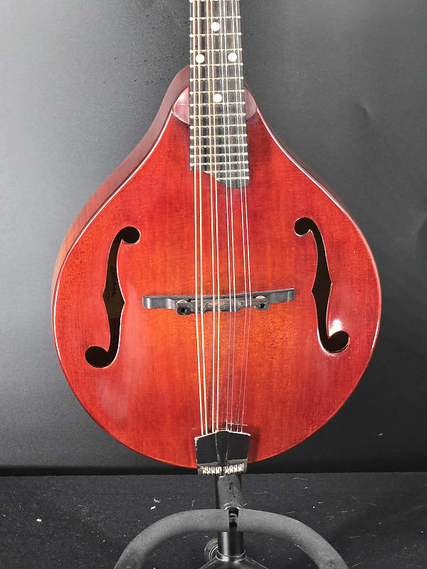 訳あり Eastman MD505　マンドリン ハードケース付き 3_bbb18997-add4-4c78-8c08-