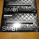 Shure SM81 Small Diaphragm Cardioid Condenser Microphone (Pair)