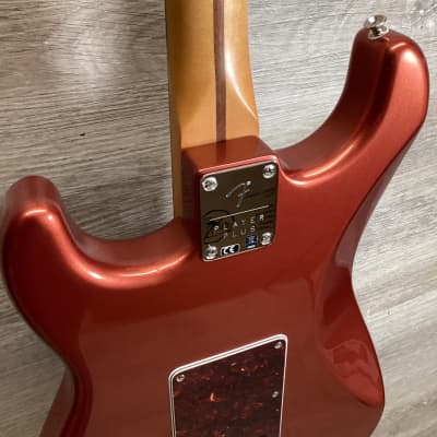Fender Strat Player plus + Pickups Yngwie Malmsteen image 7