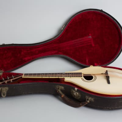 Gibson  Style A-3 Carved Top Mandolin (1919), ser. #53834, original black hard shell case. image 10