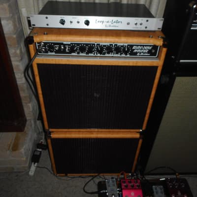 Bludotone Ripper Combo w/matching Closed back cab/ G12-65 and G12 -60 speakers5 Speakers/Cork cover and Loopalator image 1