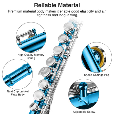 POGOLAB Flutes Closed Hole C 16 Keys Flute Instrument for Beginner Kid Orchestra School Band Student with Flute Carry Bag Stand Strap Probe Rod Gloves Grease Adjustment Screwdriver Cleaning Kit image 3