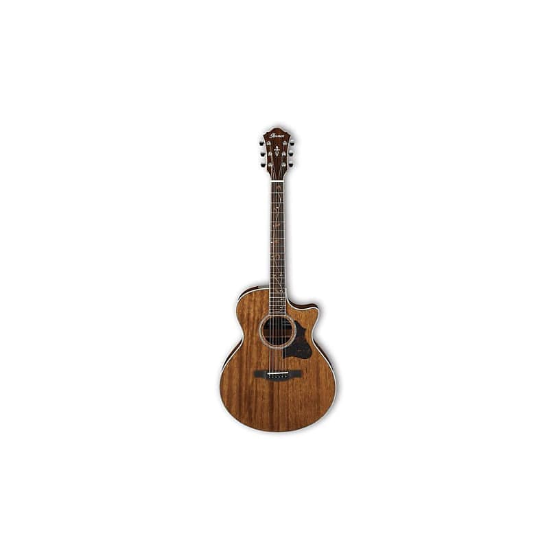 【最終】Ibanez AE245 - NT アコースティックギター Ibanez AE245-NT – United States