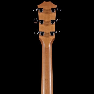 Taylor Academy 12 Grand Concert Sitka Spruce Top Layered Sapele Body image 8