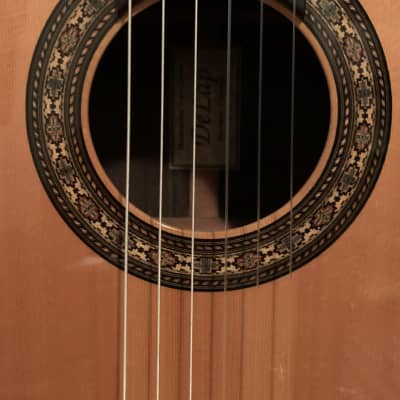 Bill DeLap VERY RARE Classical Guitar 1988 | Reverb