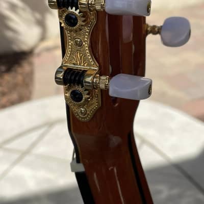 Pavan TP-30-64-L Left-Handed Classical Guitar With Plush Case - 2015 image 5