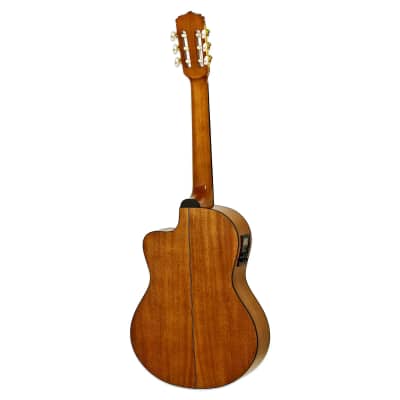 Aria A-35CE A Series Solid Red Cedar Top Nato Neck 6-String Cutaway Acoustic-Electric Guitar image 2
