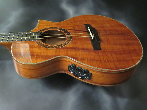 Ibanez アコースティックギター KOA Ibanez Exotic Wood Series Nylon String Acoustic Guitar Koa
