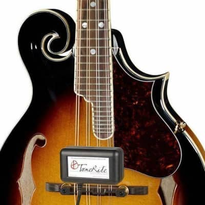 ToneRite 3G for Mandolin (110 Volt) -  Break In Your Instrument! - Full Warranty! image 3