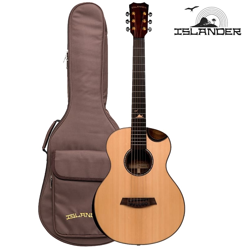 Islander RS-MG-EQ Acoustic Guitar (New) image 1