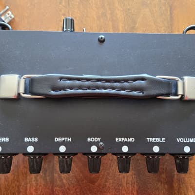 Evans Custom Amplifiers Hybrid AH200 Guitar Amp Head image 2