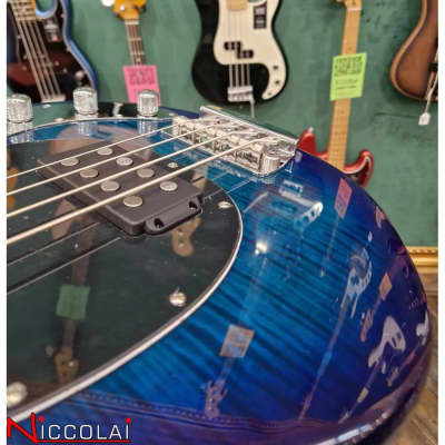 Immagine STERLING BY MUSIC MAN StingRay Ray34FM Neptune Blue - 10