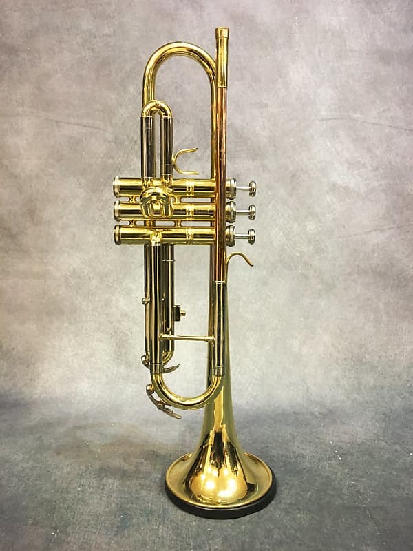 Brass mini trompette avec support et boîtier mini instrument de