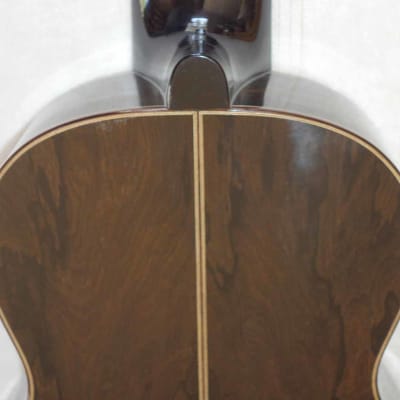 LUCIO NÚÑEZ Sophia 13-String Classical Harp Guitar, Spruce/Ziricote, w/Custom Case, Extremely Rare!! image 14