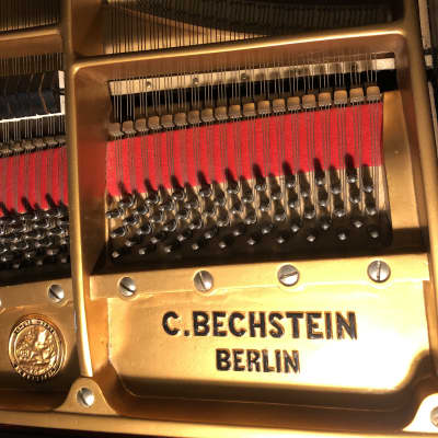 1921 Bechstein B Grand Piano 6'8"- priced to sell! image 3