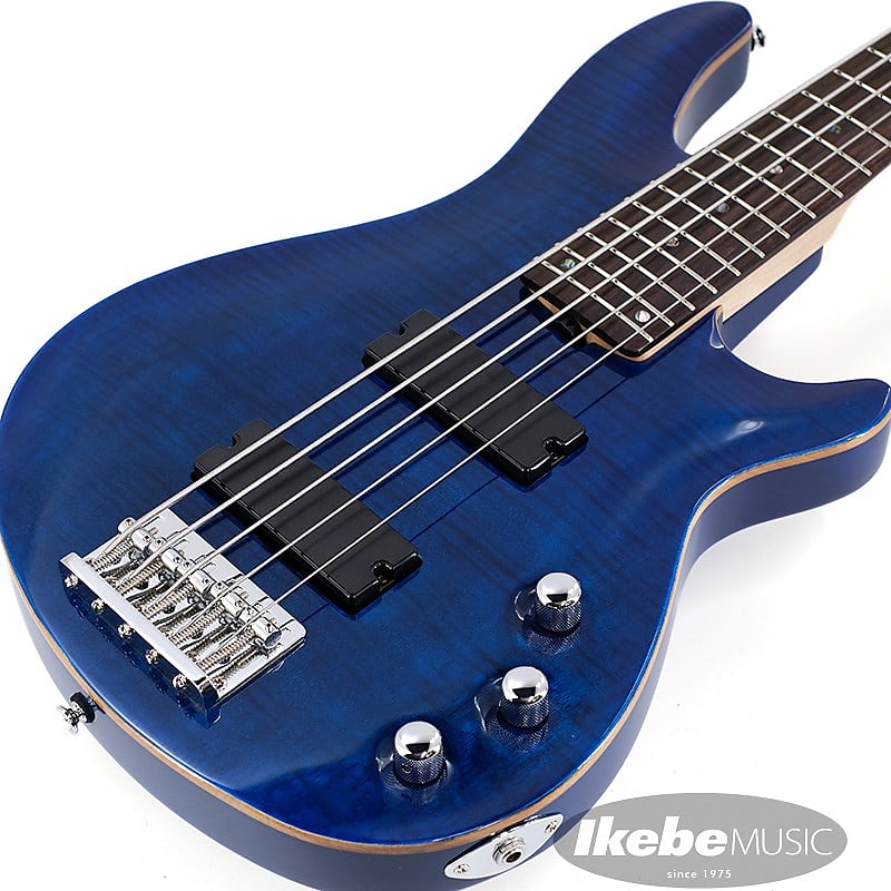 SCHECTER JOL-CT-B-5 (BKAQ) | Reverb