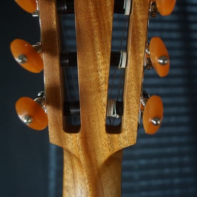 Brand New Furch GNc 2-CW 'Hybrid' Nylon Stringed Acoustic Cedar / Walnut w/ Hiscox Case image 17