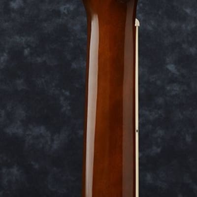 Ibanez PN12E Acoustic-Electric Guitar - Vintage Mahogany Sunburst image 3
