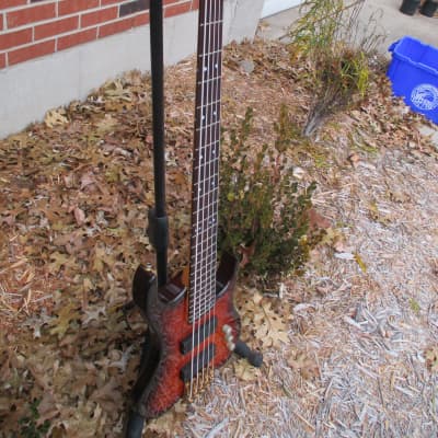 Bunker 5-string bass w/Fender hardshell case image 2