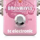 New Open Box TC Electronic Brainwaves Pitch Shifter Guitar Effects Pedal!