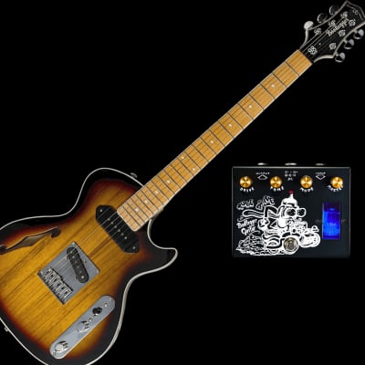 Duesenberg Double Cat DDC-FB Fireburst | Reverb