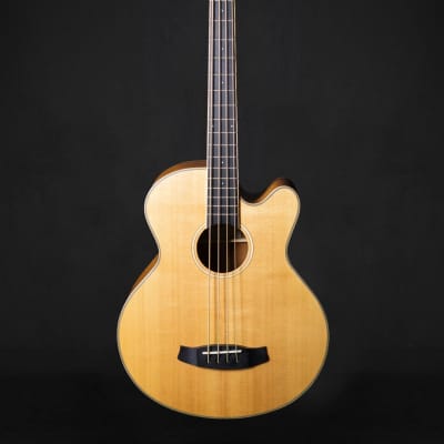 Tanglewood TW8 E AB Electro-Acoustic Bass for sale