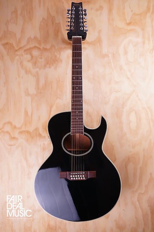 Washburn EA20 12-String in Black, USED | Reverb