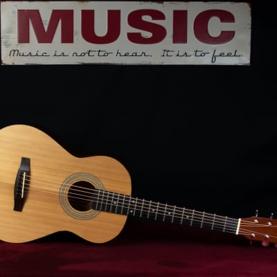 Fender Squier MA-1 Acoustic Guitar 20th Anniversary 3/4 / parlorsize for sale