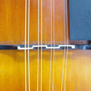 Pre-War Harmony No.55 Viol Mandolin image 16