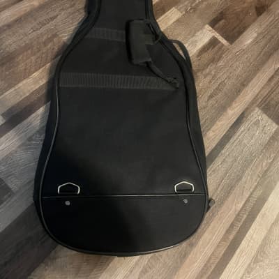 Parker guitars Gig bag LATER VERSION image 3