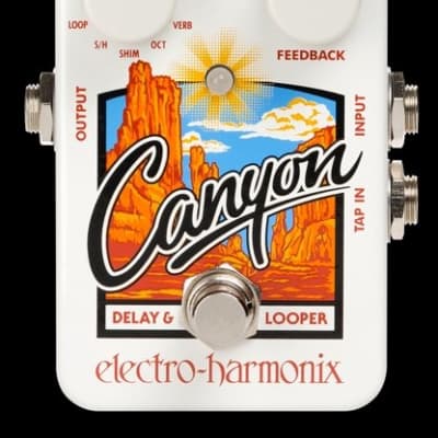 Electro-Harmonix Canyon Delay and Looper Pedal image 1