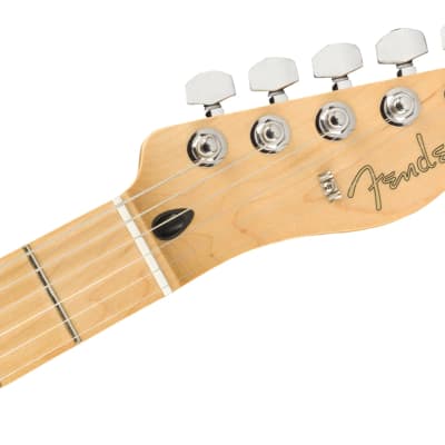 Fender Player Telecaster, Maple Fingerboard, Black image 5