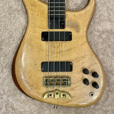 Alembic Orion 4Strings early 2000 - image 3