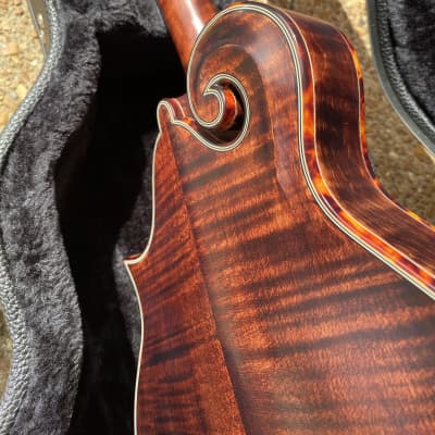 Micawber Cheverly Mandolin image 5