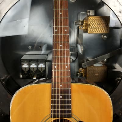 Morris W-15 Acoustic Guitar MIJ w/ Hard Case image 3