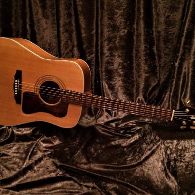 Guild DV6 1997 Westerly Rhode Island Dreadnought Acoustic Mahogany Back and Sides like a D40 D18 image 1