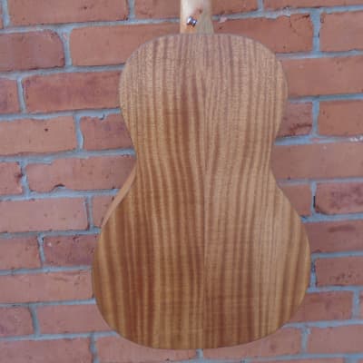 Kala KA-GTR-PLR Parlor Size Guitar w/bag image 5