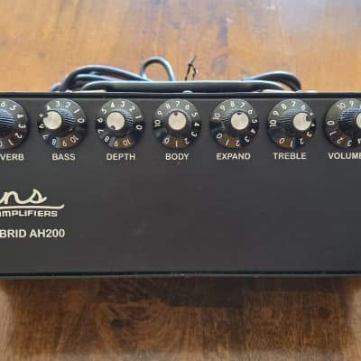 Evans Custom Amplifiers Hybrid AH200 Guitar Amp Head image 1