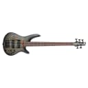 Ibanez SR605E SR Series 5-String Bass, Rosewood Fretboard, Black Stained Burst