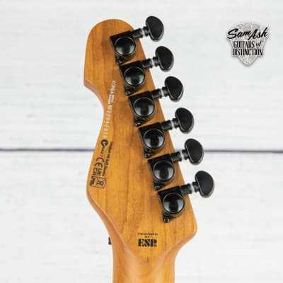 ESP LTD SN-1000 FR Guitar (Black Beast) image 6